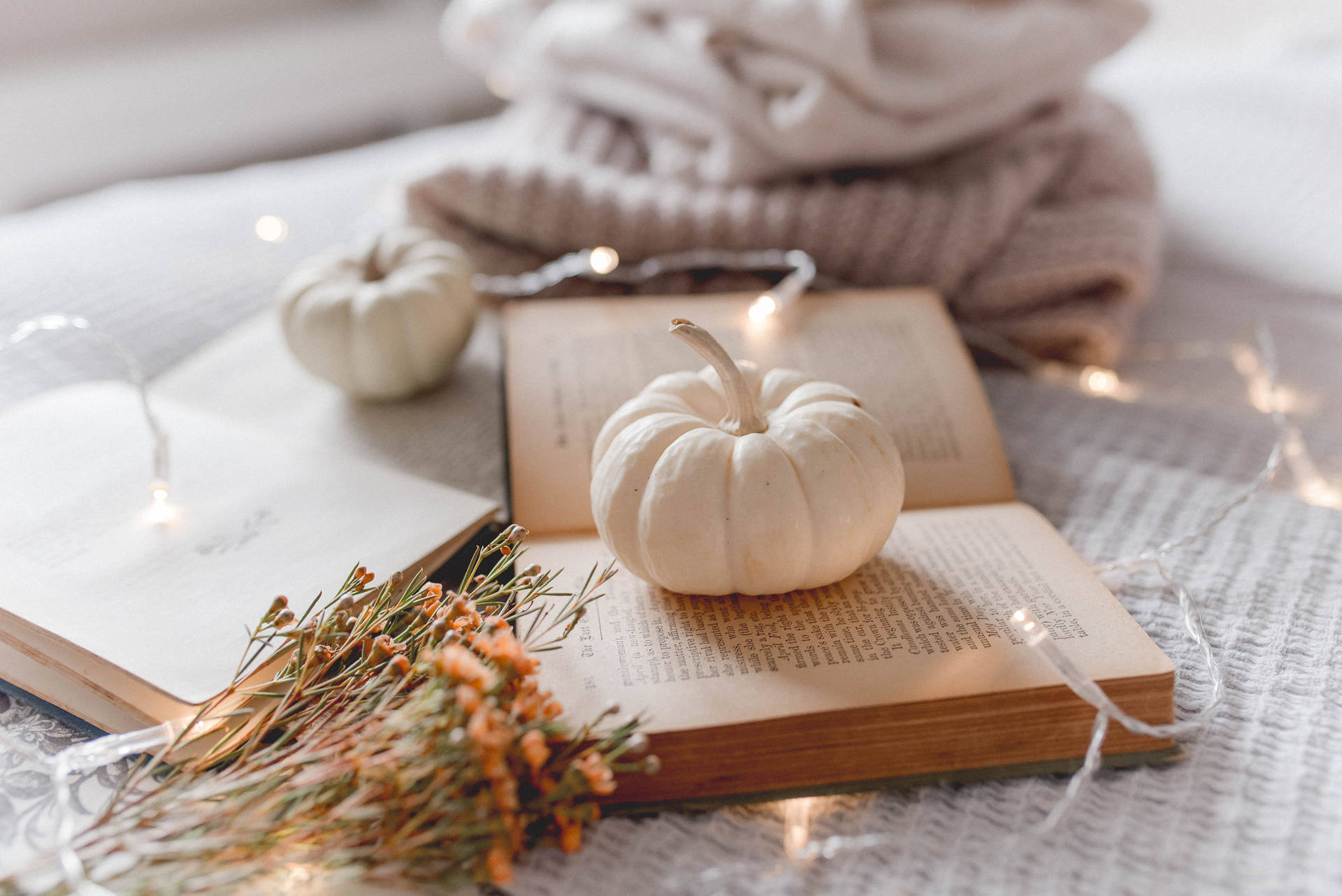 Cozy Autumn White Pumpkin Wallpaper