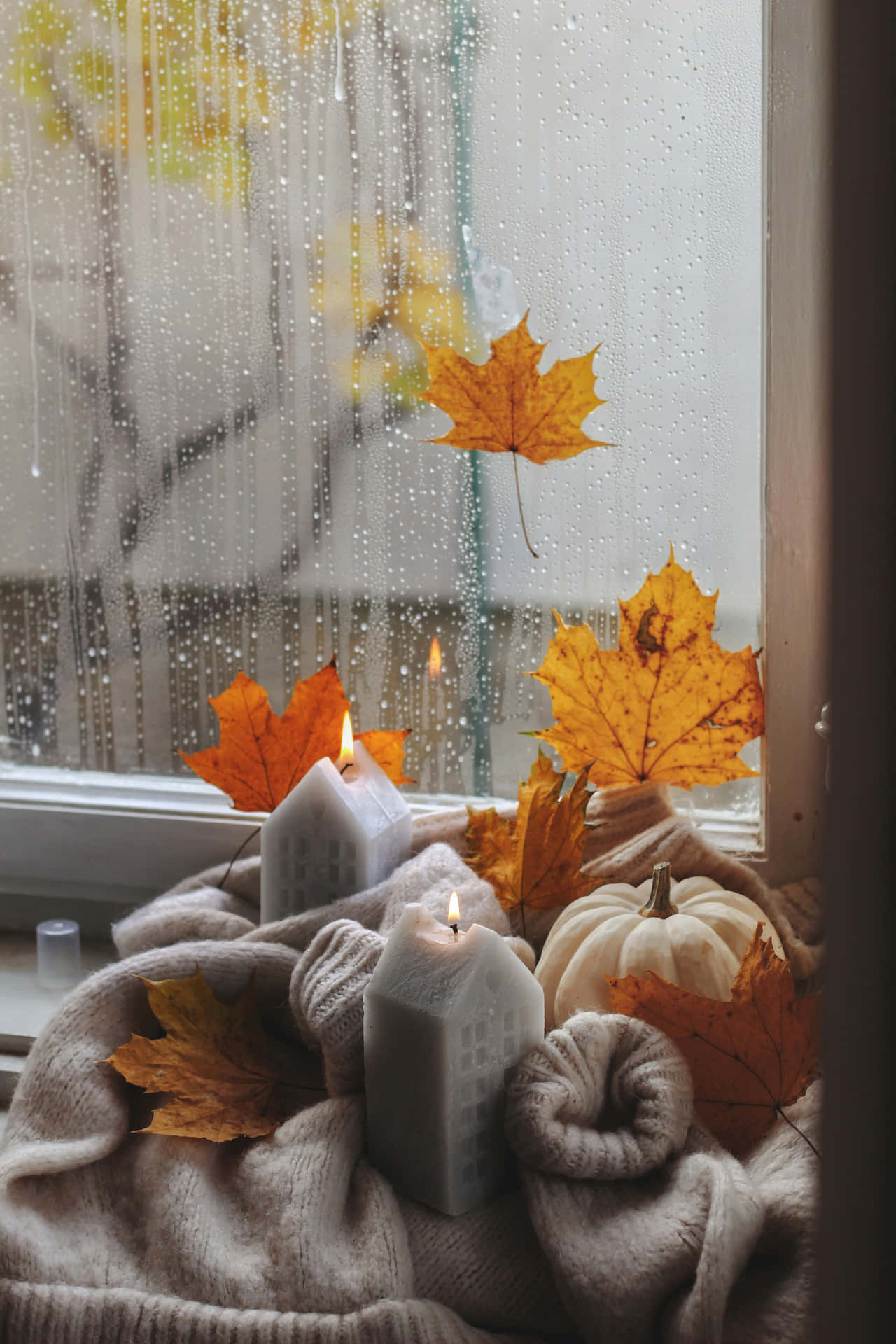 Cozy Autumn Window Scene Wallpaper