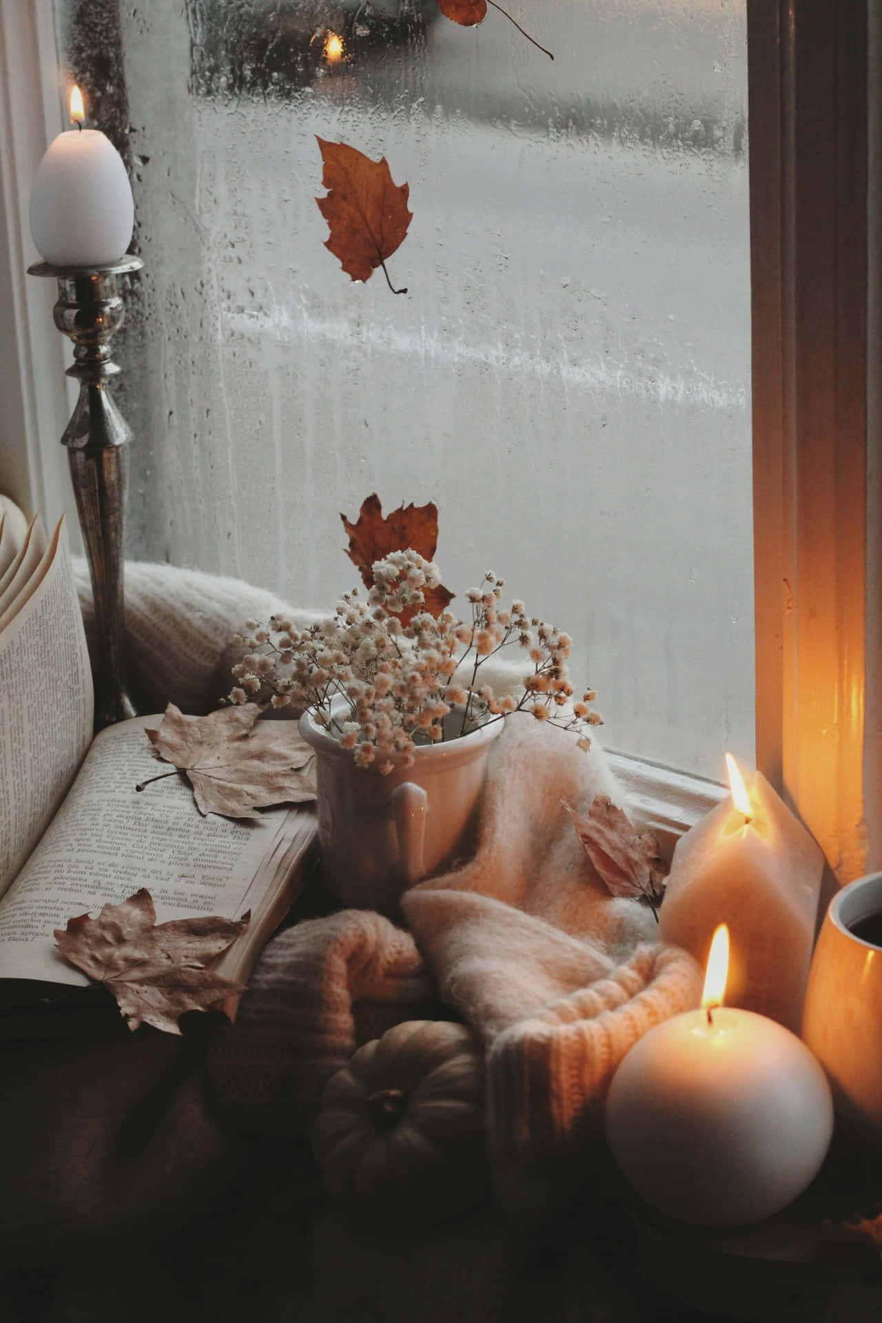 Cozy Autumn Window Scene Wallpaper