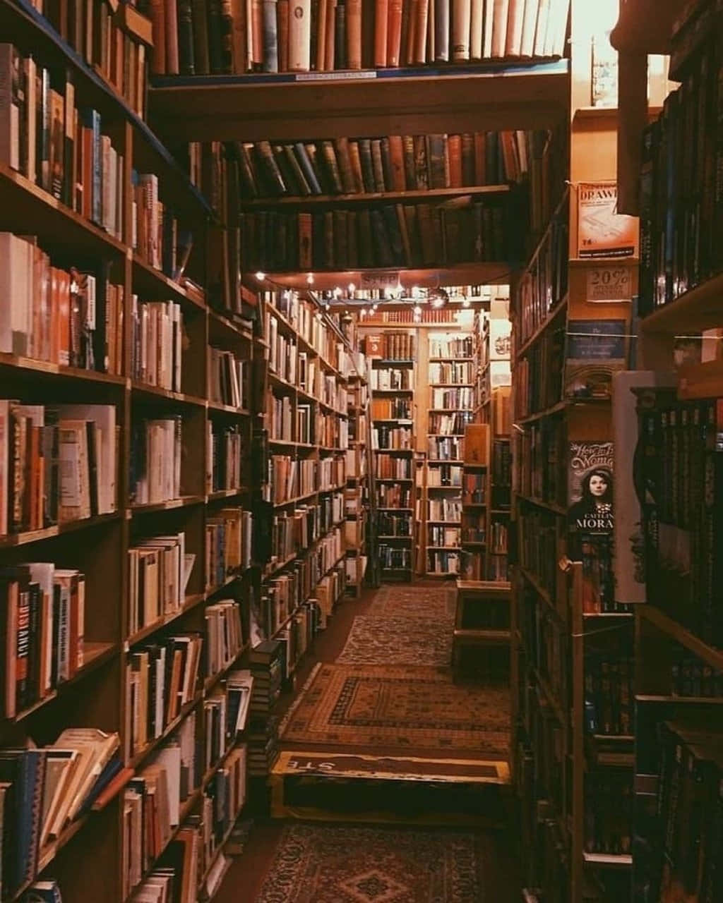 Cozy Bookstore Aisle.jpg Wallpaper