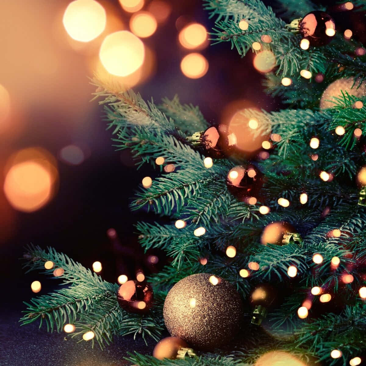 Download Cozy Christmas Close-up Tree Wallpaper