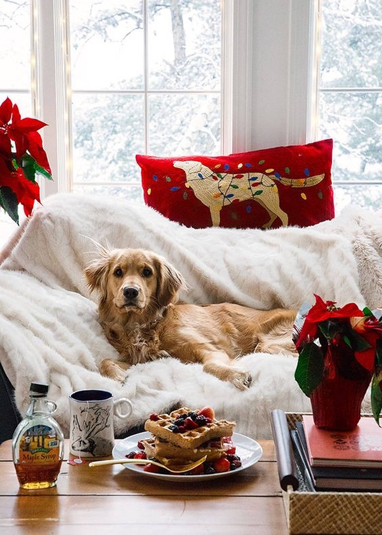 Cozy Christmas Aesthetic Dog On Couch Wallpaper