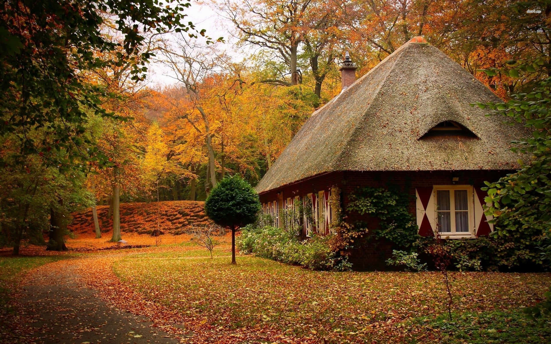 A Small House In The Woods Wallpaper