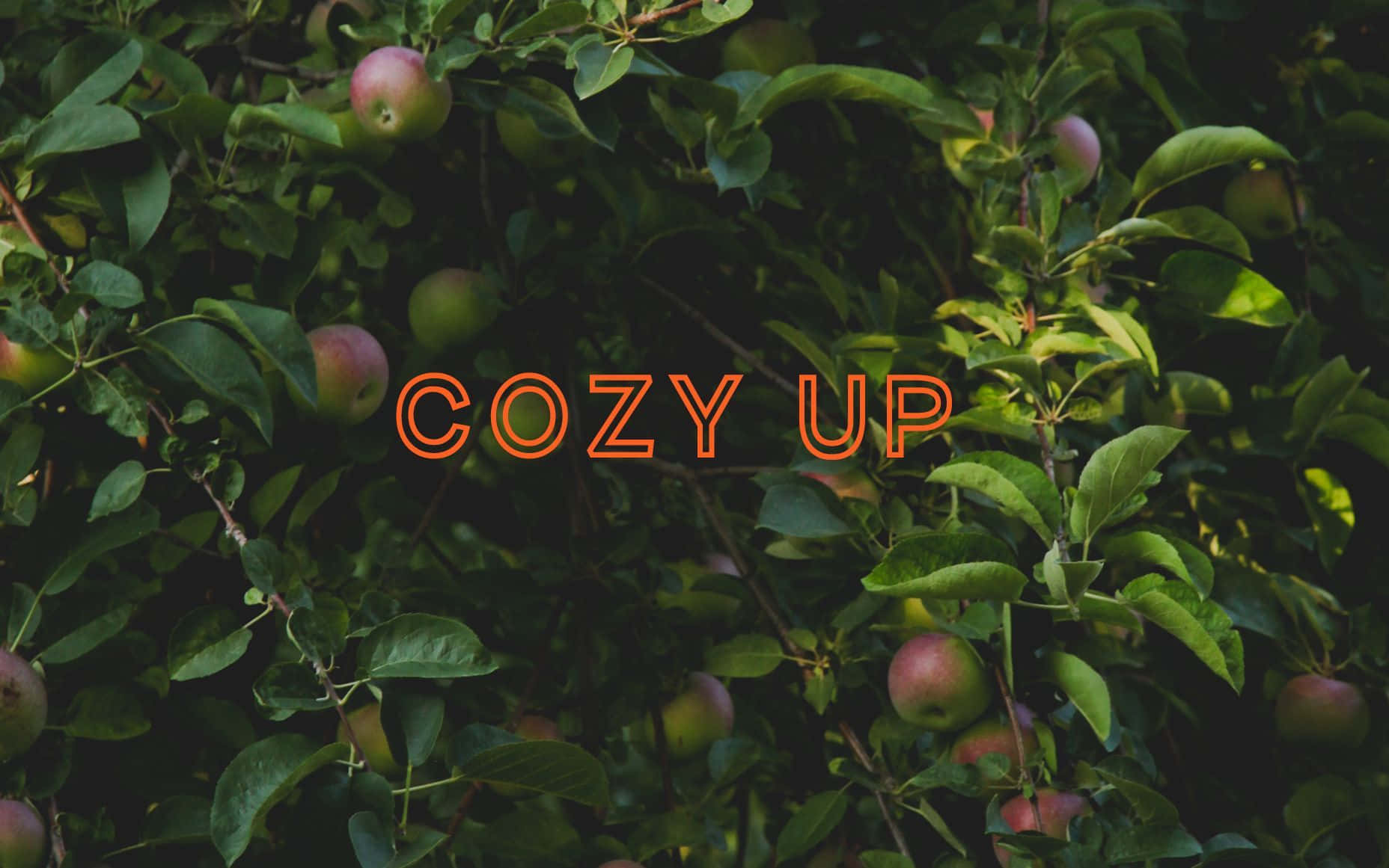 Cozy Up - A Tree With Apples Wallpaper