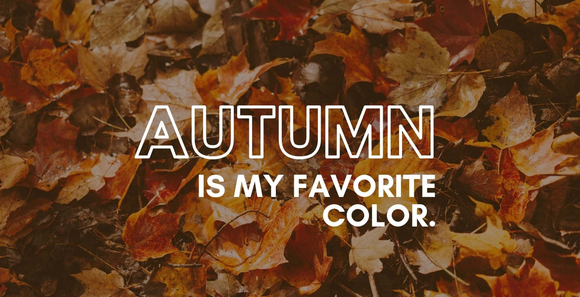 Cozy Fall Desktop Autumn Is My Favorite Color Wallpaper