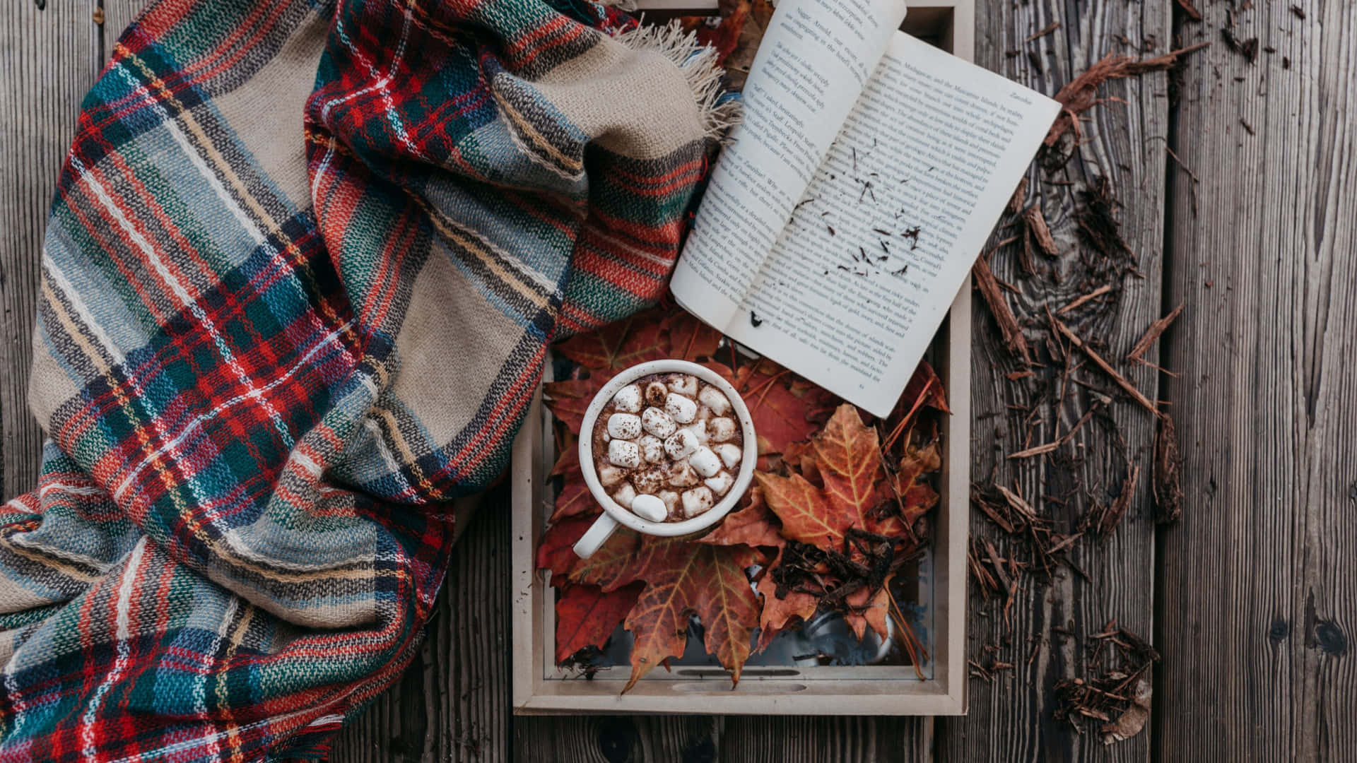 Cozy Fall Desktop Hot Chocolate And Book Wallpaper