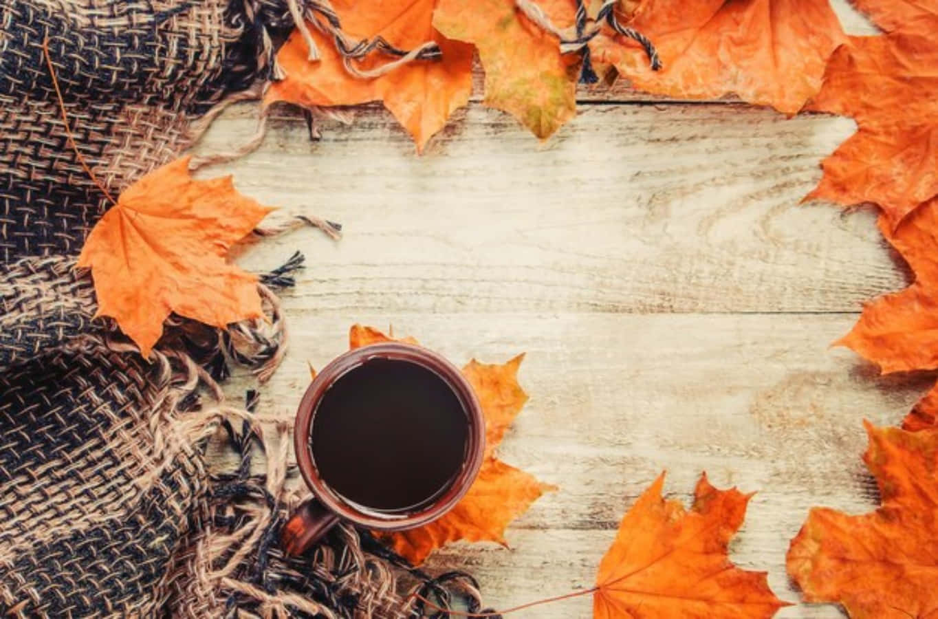 Cozy Fall Desktop Maple Leaves And Black Coffee Wallpaper
