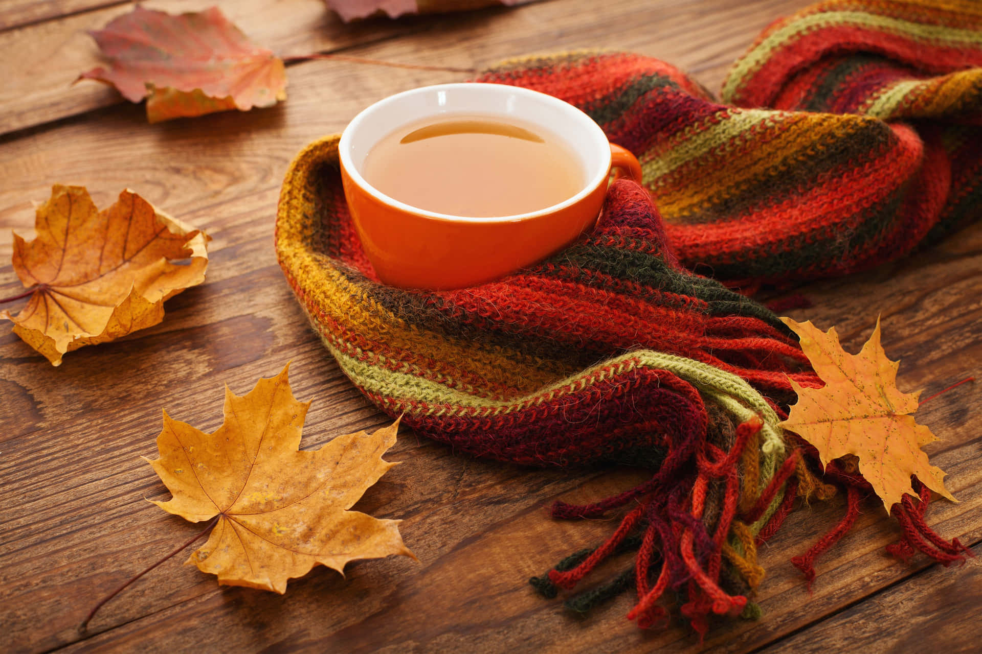 Cozy Fall Desktop Tea And Maple Leaves Wallpaper