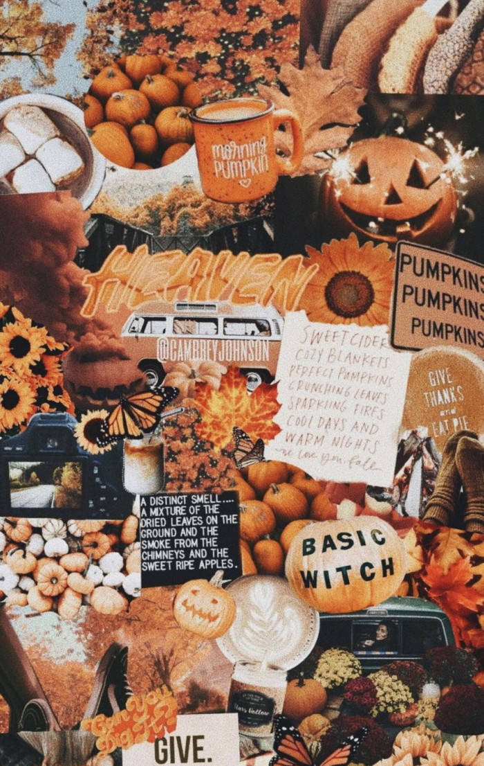 Cozy Fall Halloween Collage Wallpaper