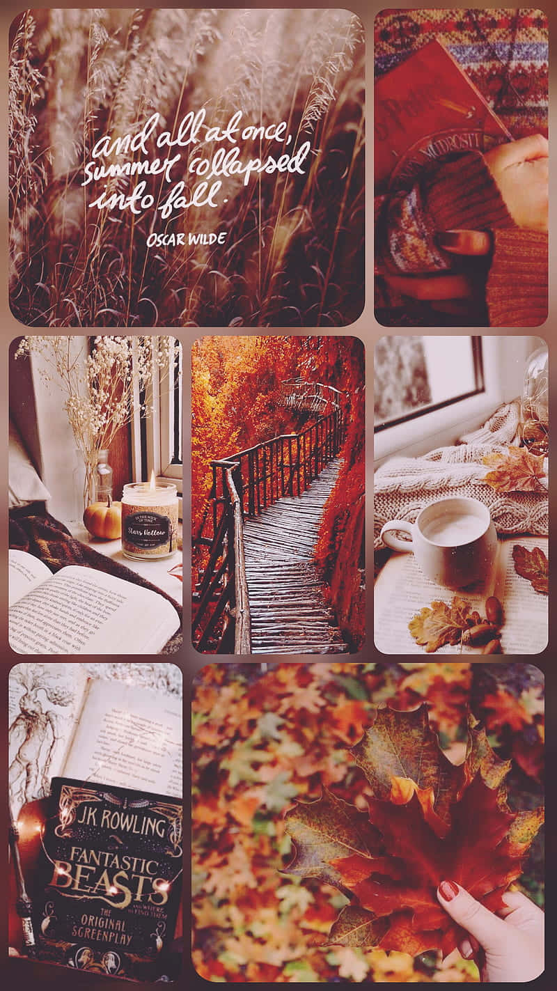 Cozy Fall Moments Collage Wallpaper