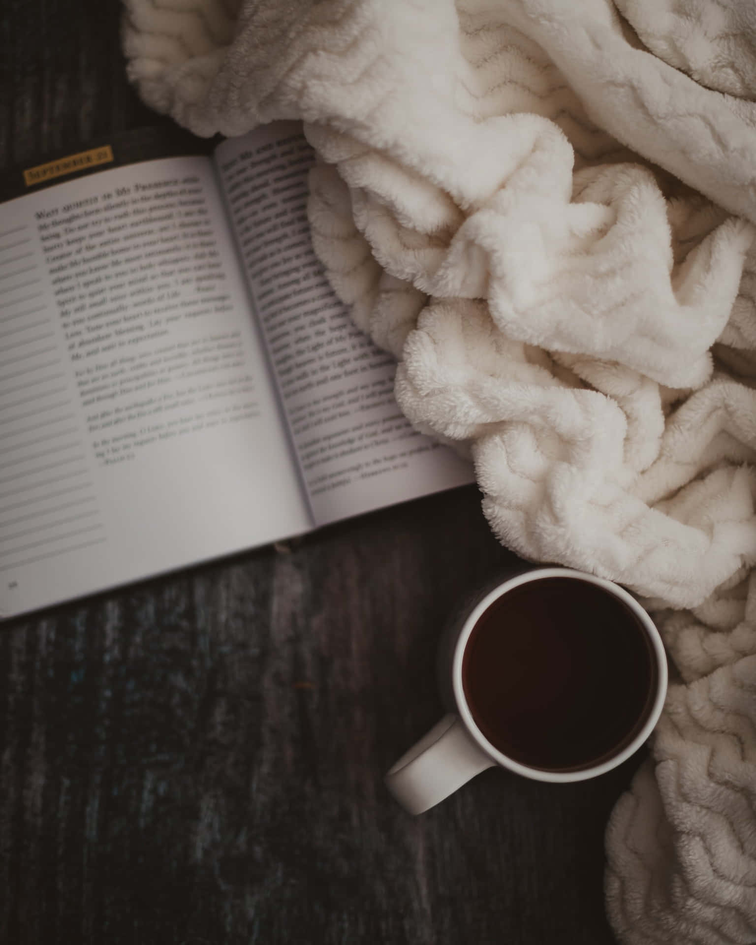 Cozy_ Reading_ Time_with_ Coffee_and_ Blanket Wallpaper