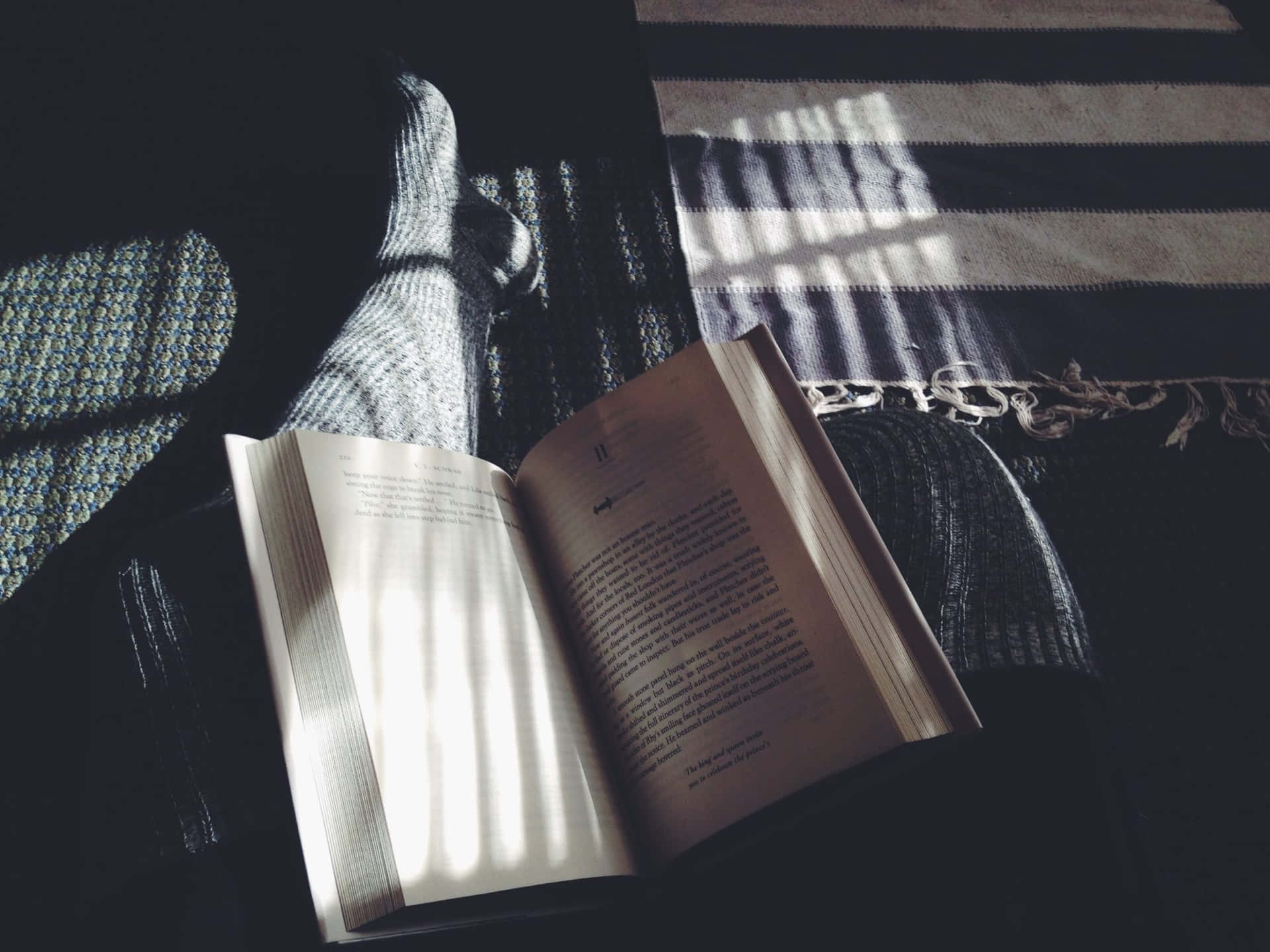 Cozy Reading With Sunlight Stripes Wallpaper