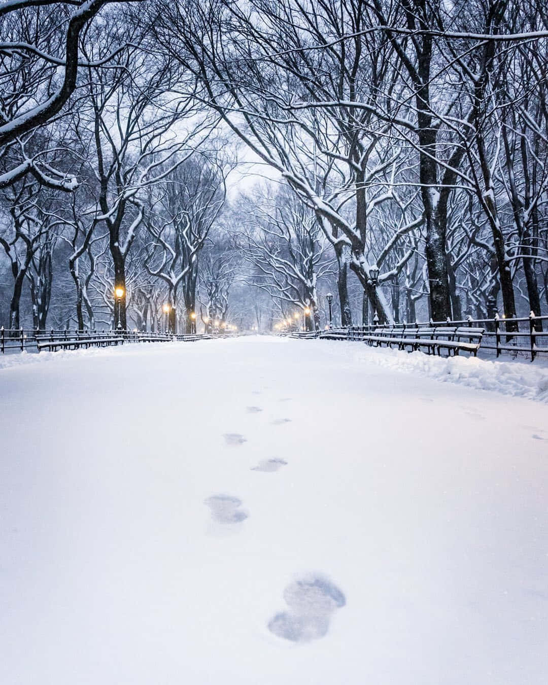 Cozy Winter Aesthetic Snow Path Footprints Photography Wallpaper