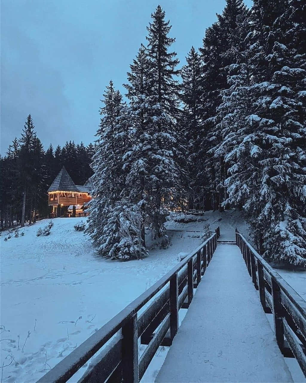 Cozy Winter Aesthetic Snowed Bridge Forest Photography Wallpaper
