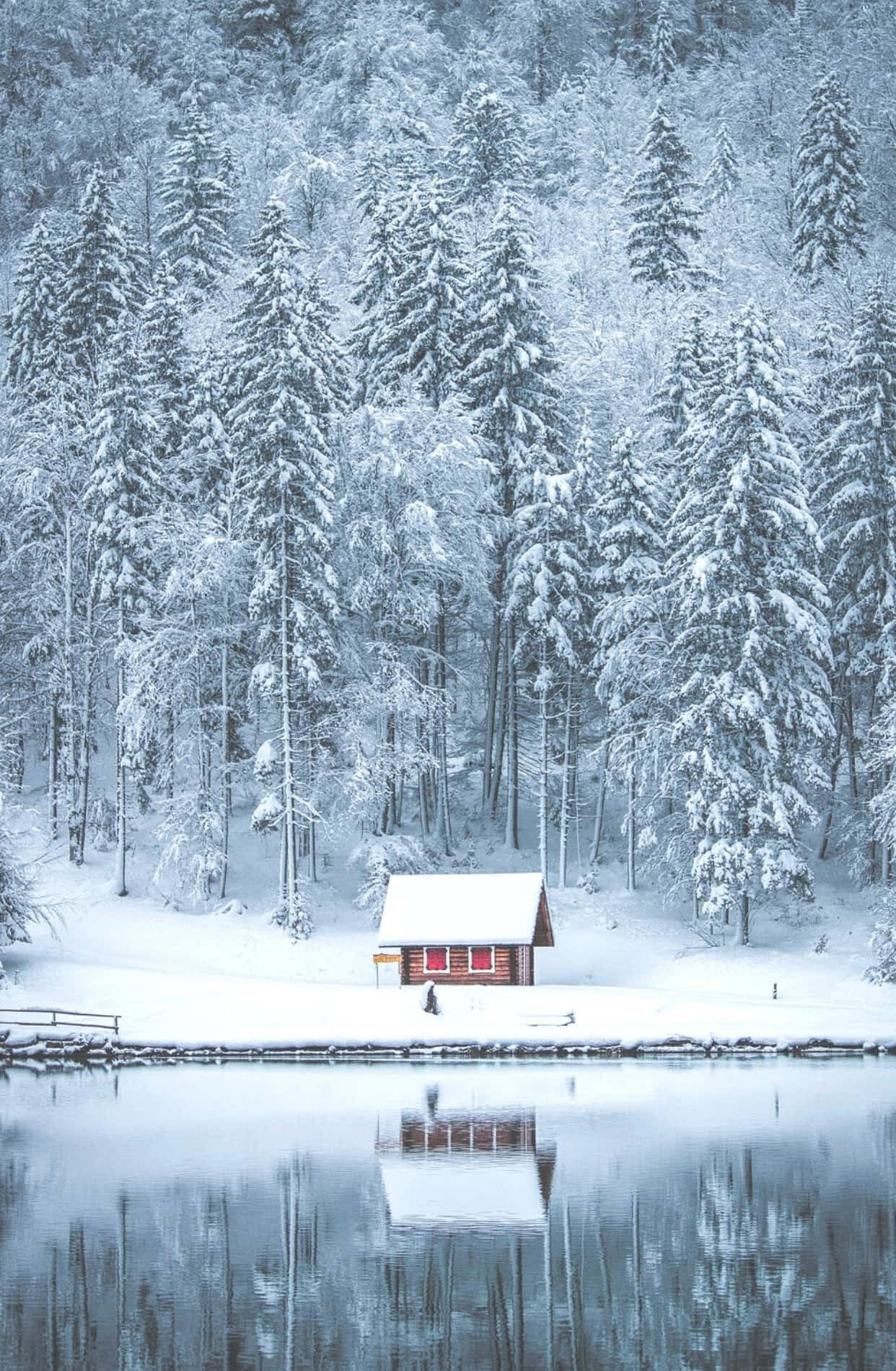 Warm and Charming Cozy Winter Cabin Nestled in Snowy Forest Wallpaper