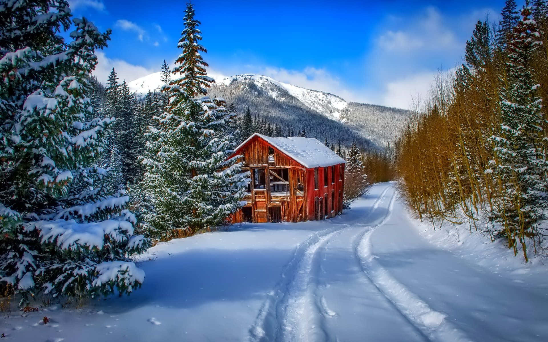 Enchanting Snowy Winter Cabin in the Woods Wallpaper