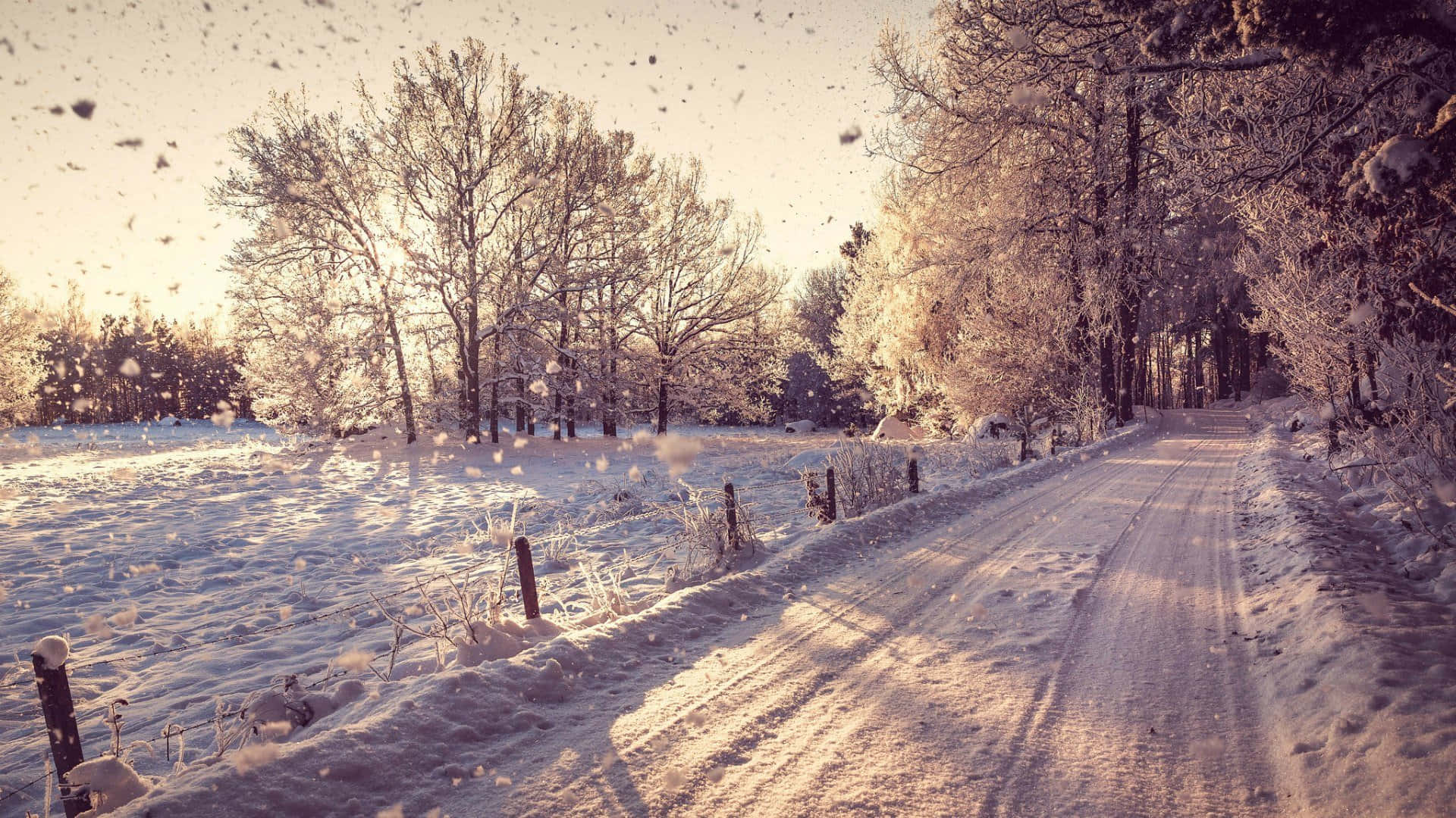 Cozy Winter Snow-covered Road Desktop Wallpaper