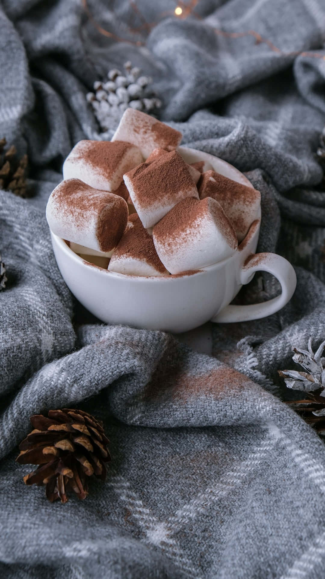 Cozy Winter Hot Chocolate With Marshmallows Wallpaper