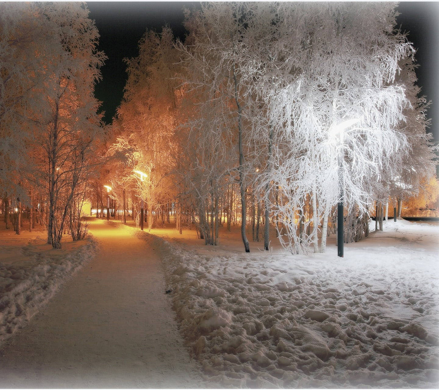 Cozy Winter Park In White Aesthetic Wallpaper