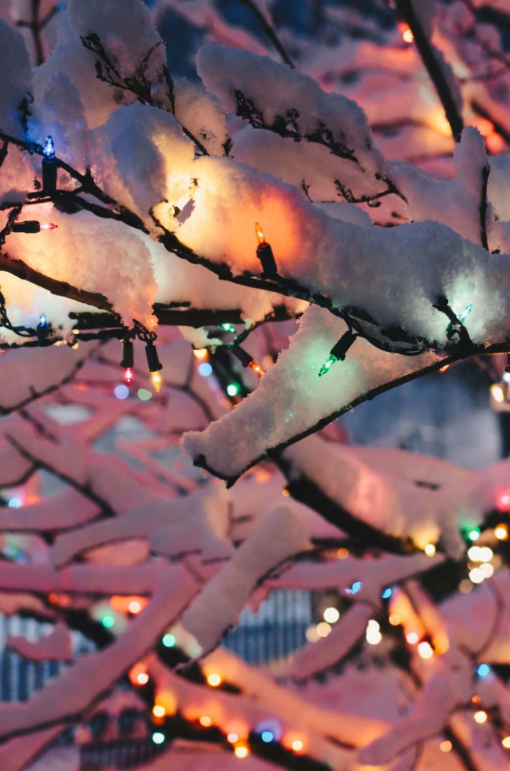 Celebrate winter in the warmest way possible. Wallpaper