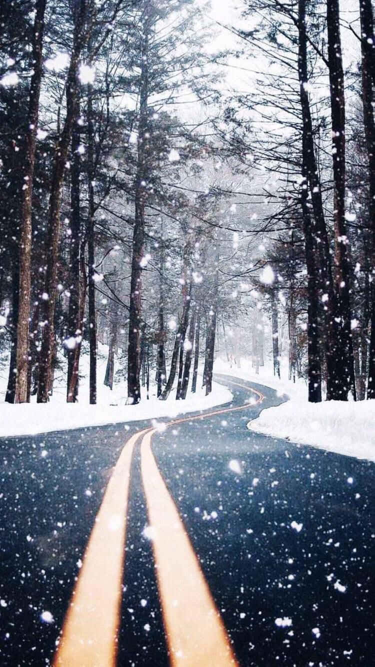 Cozy Winter Road Tumblr Wallpaper