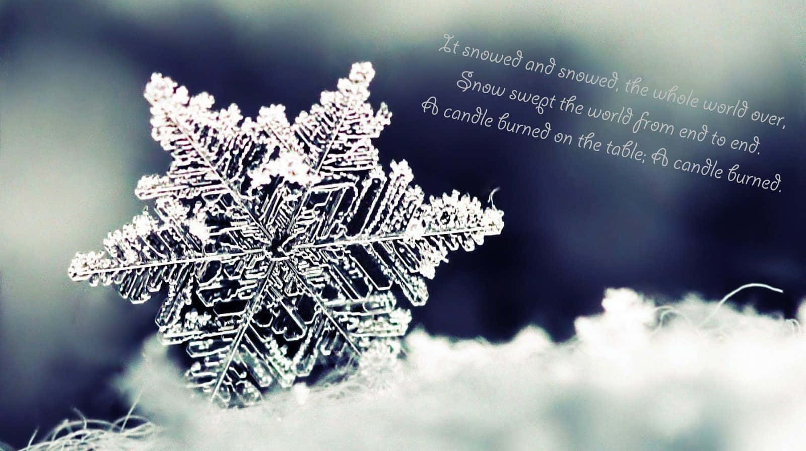 tumblr winter quotes