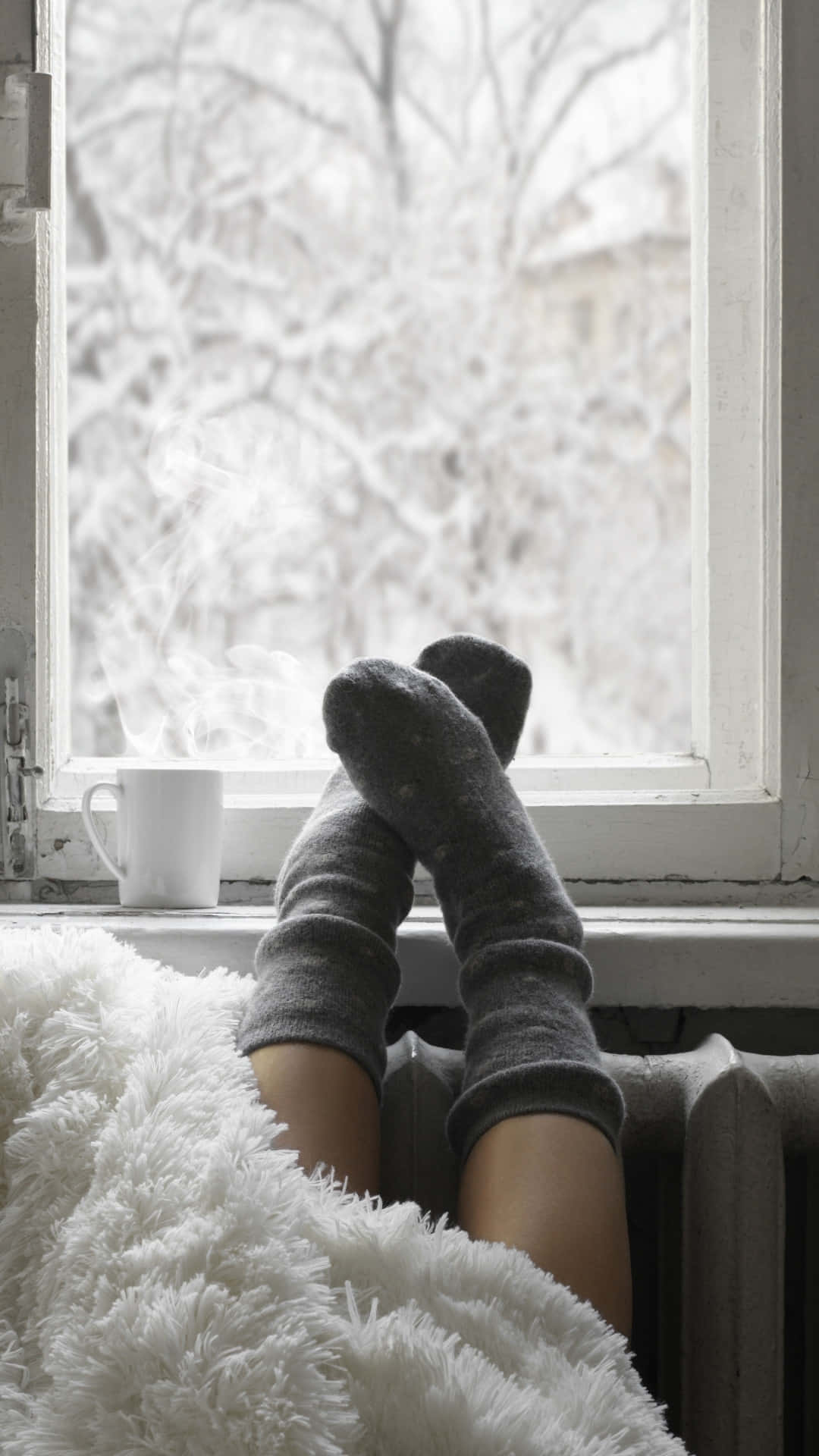 Cozy Winter Window Scene Wallpaper