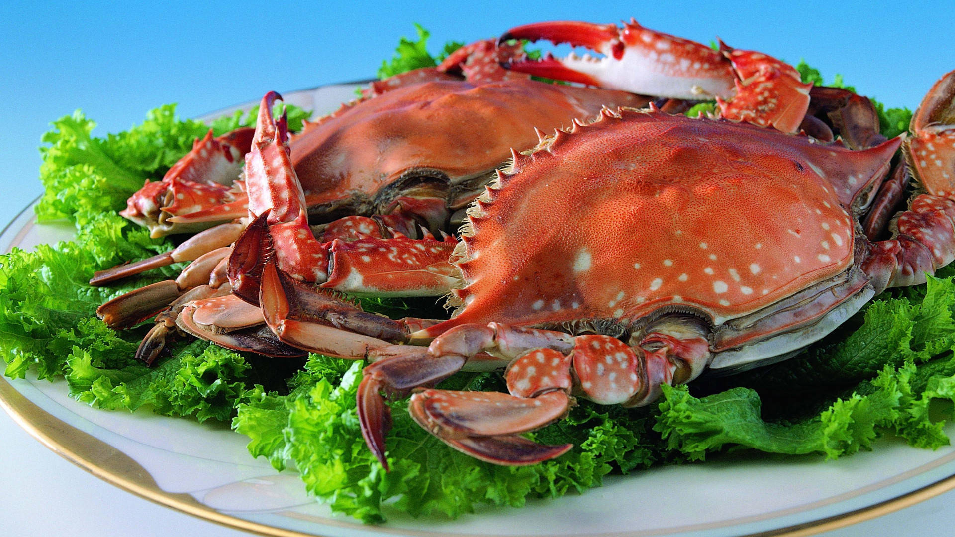 Crab And Lettuce On Plate Wallpaper