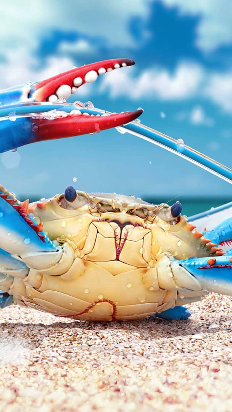 A vibrant red crab stands out against a bright, sandy beach.