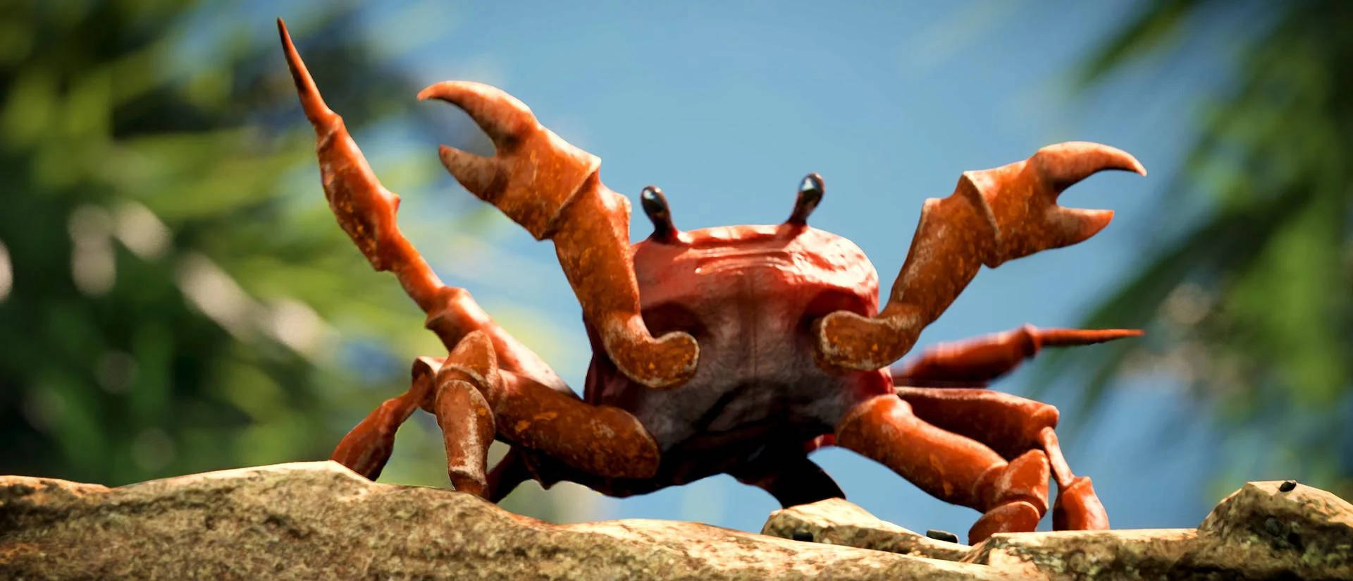 Crab On A Rock Wallpaper