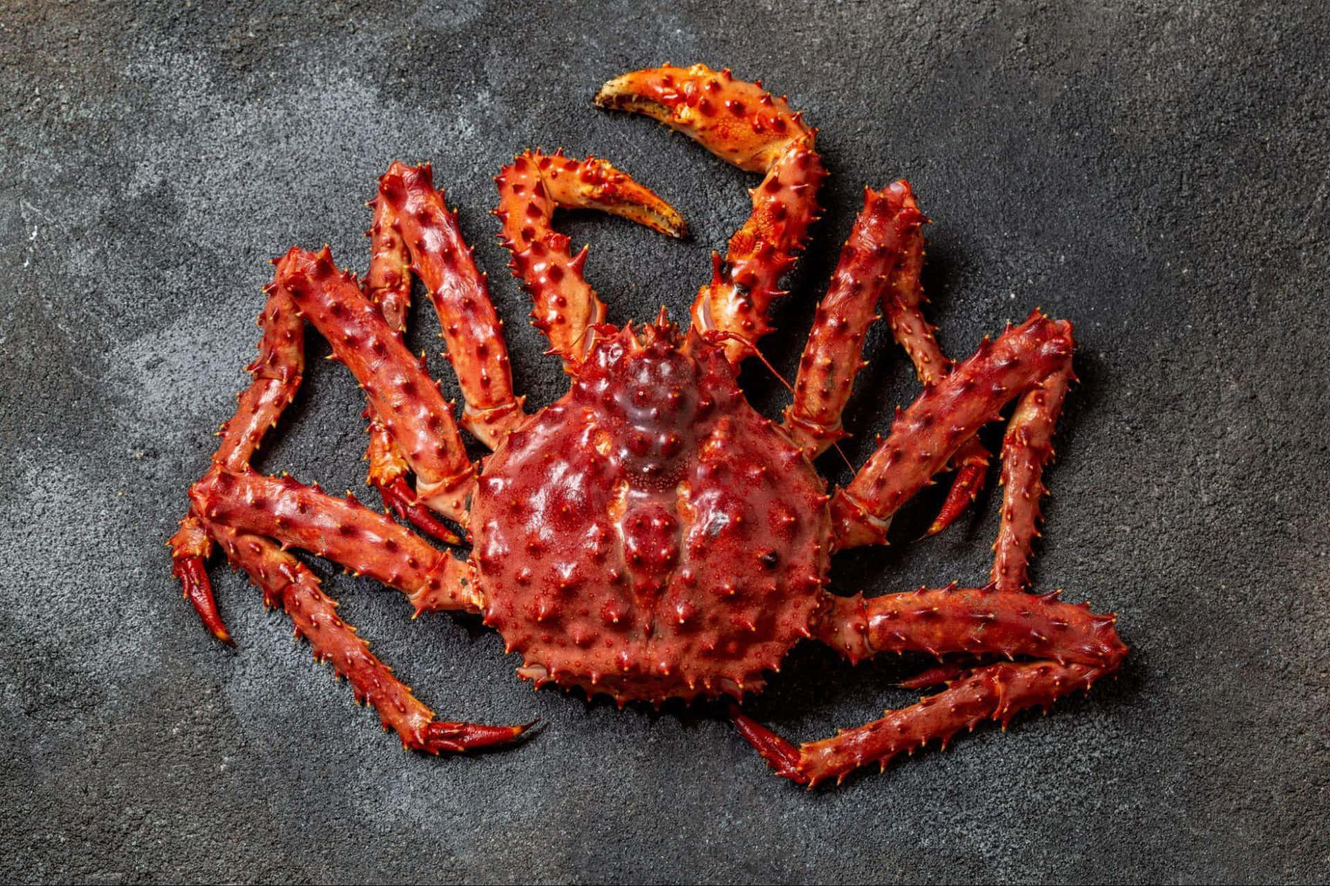 A Close-Up Look at the Details of a Crab