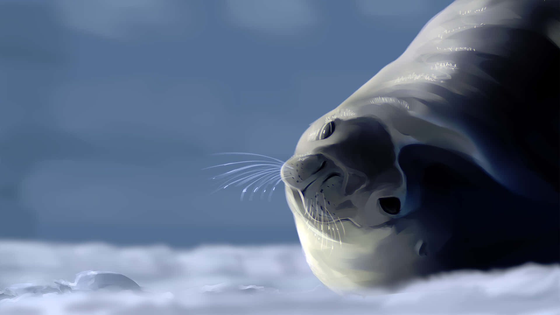 Crabeater Seal Restingon Ice Wallpaper