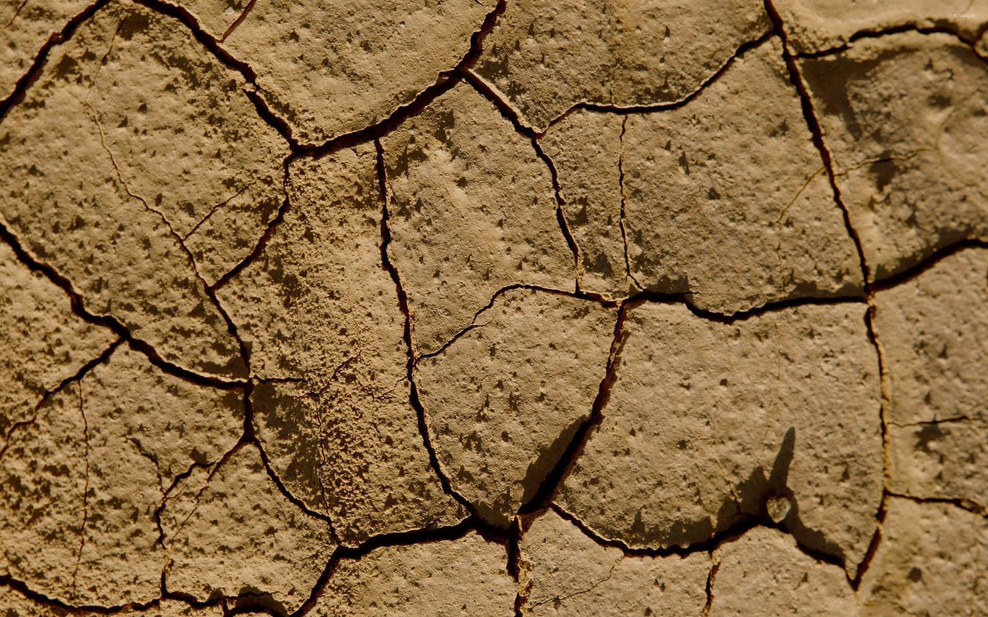 Cracked Desert Dried Mud Background Wallpaper
