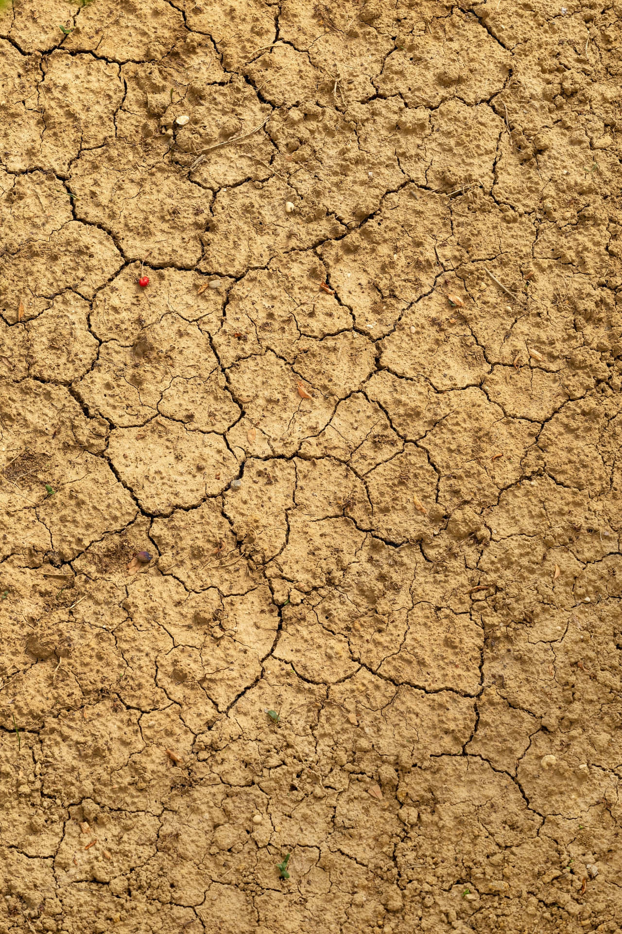 Cracked Dry Mud Soil Texture Wallpaper