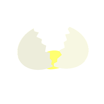 Cracked Egg Vector Illustration PNG