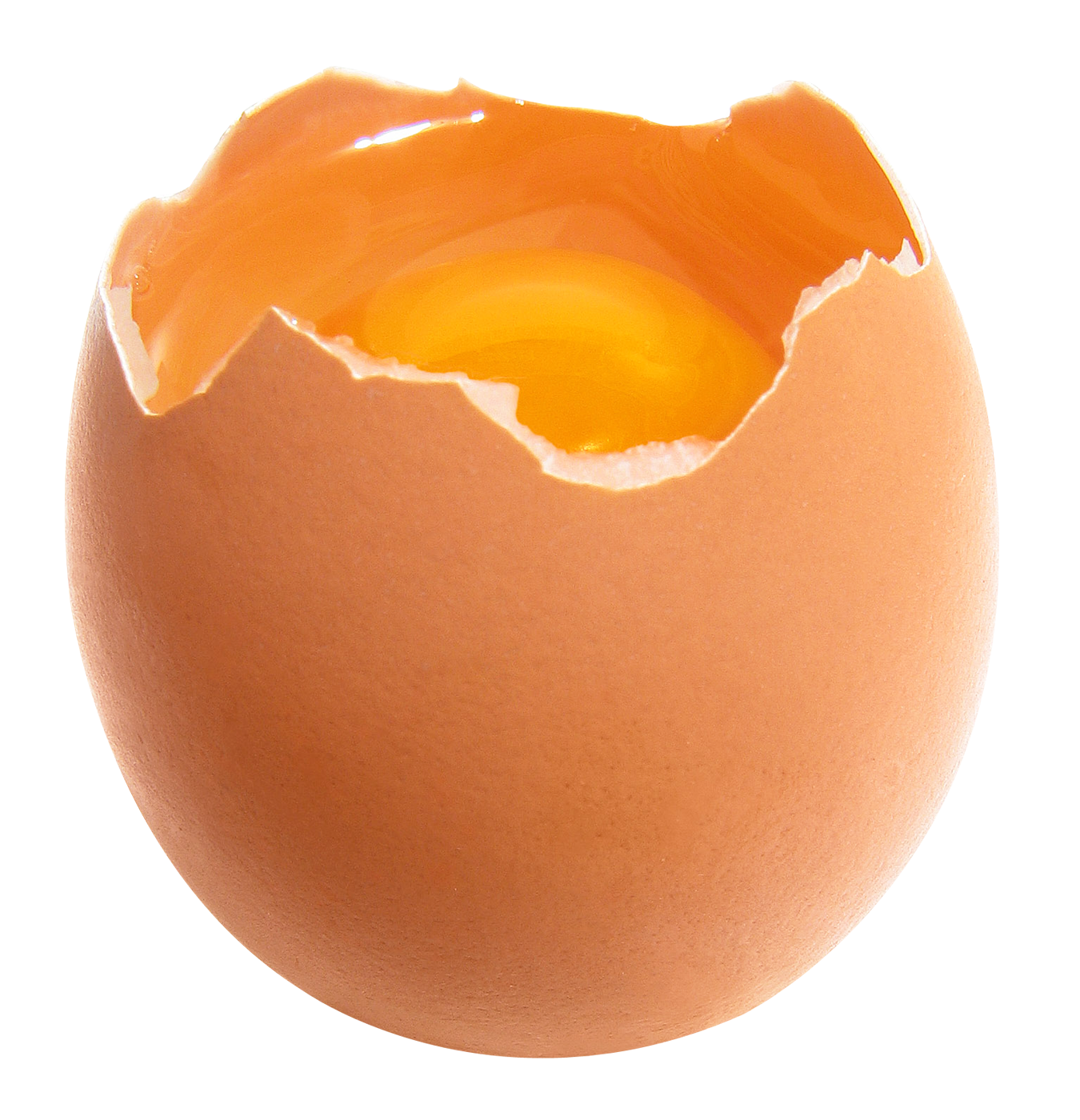 Cracked Egg Yolk Revealed.png PNG
