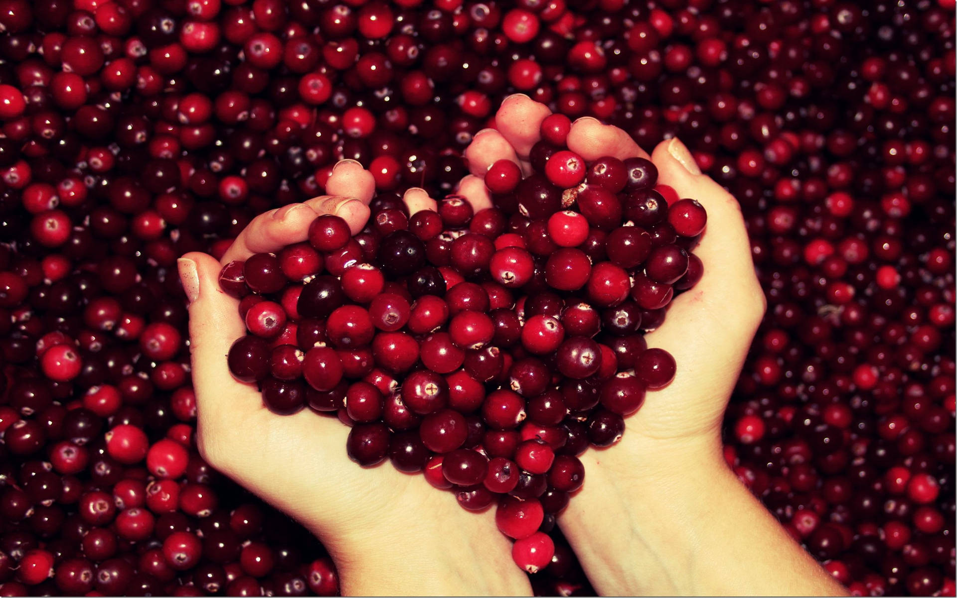 Cranberriesfür Eine Gute Gesundheit Wallpaper