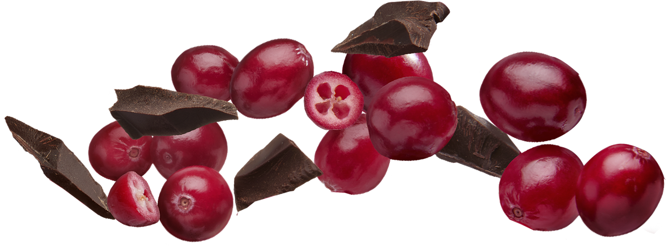 Cranberriesand Chocolate Pieces PNG
