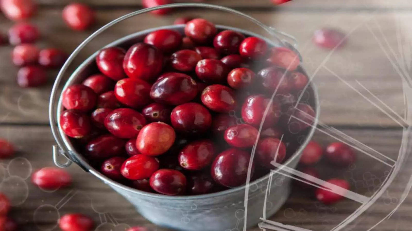 Cranberry Hard Round Red Fruits Wallpaper
