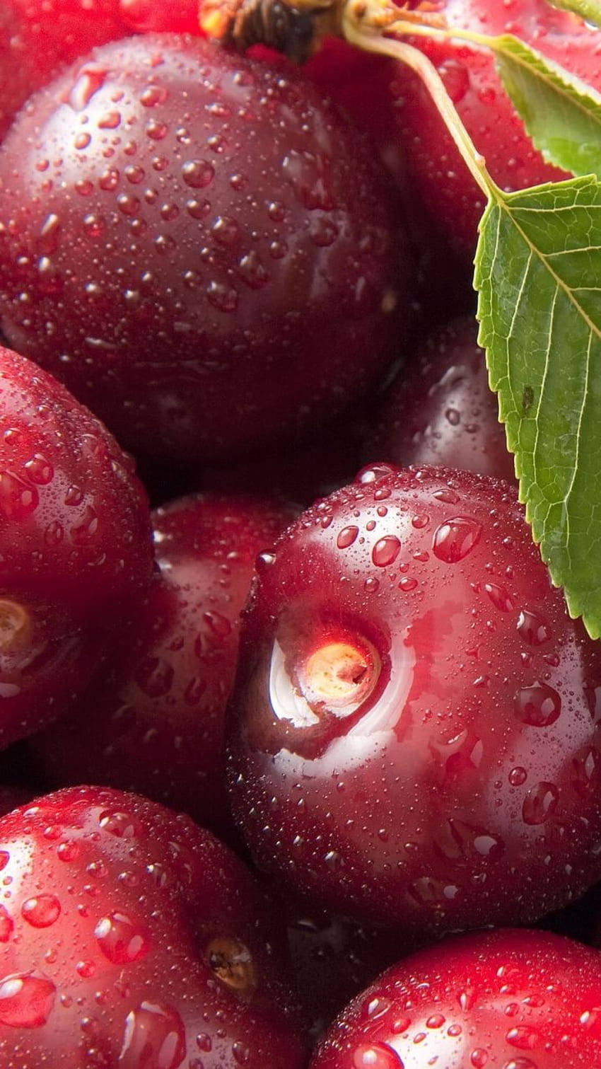 Cranberry With Water Droplets Wallpaper