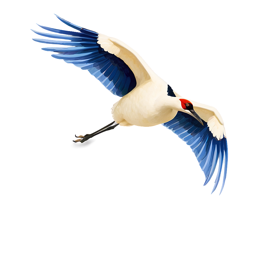 Download Crane Bird Flying Png Rnr | Wallpapers.com