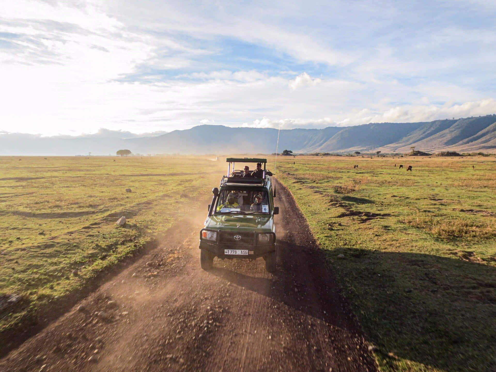 Cráterde Las Tierras Altas Ngorongoro Vehículo De Safari En El Cráter Fondo de pantalla