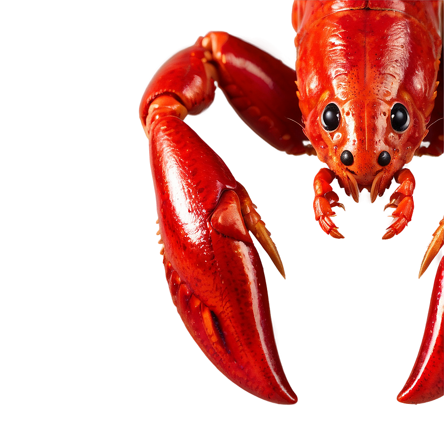 Crawfish C PNG