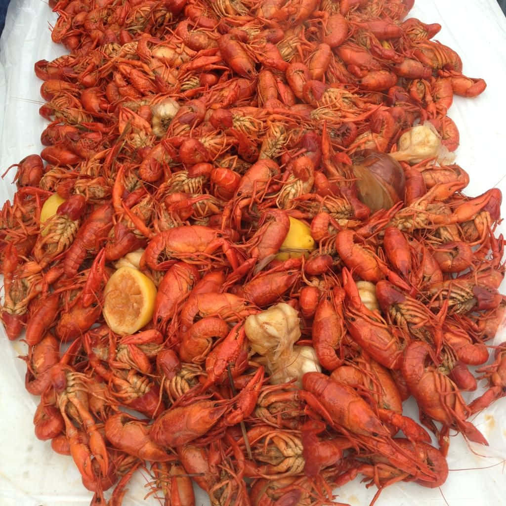 A bubbling pot of fresh Louisiana Crawfish served with corn, lemon and potatoes, a perfect meal for hot summer days.