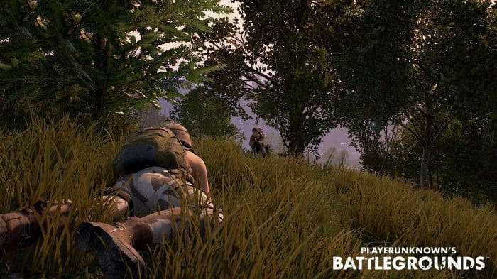 Crawling In The Grass PUBG Banner Wallpaper
