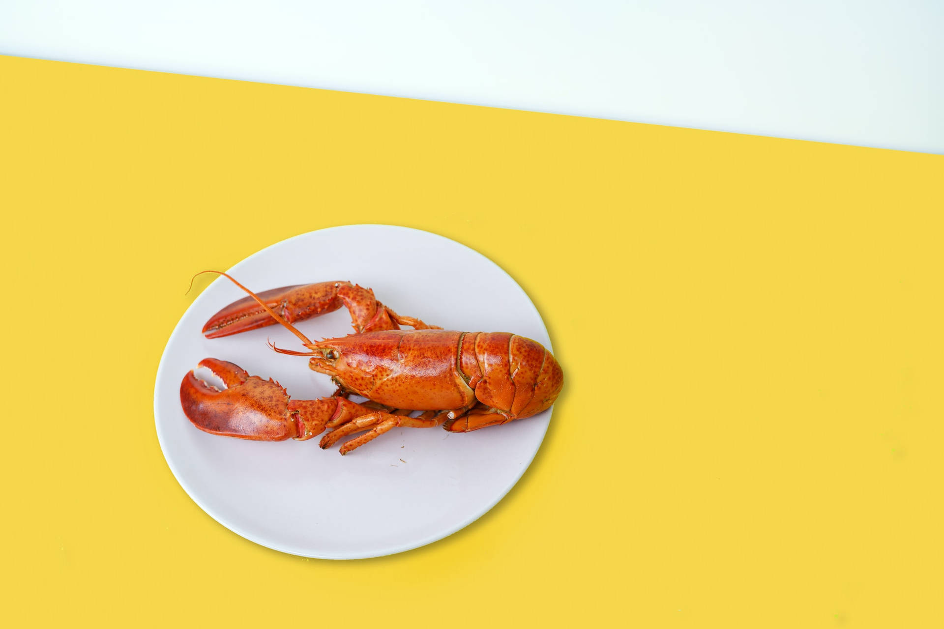 Crayfish Dish On Yellow Table Wallpaper