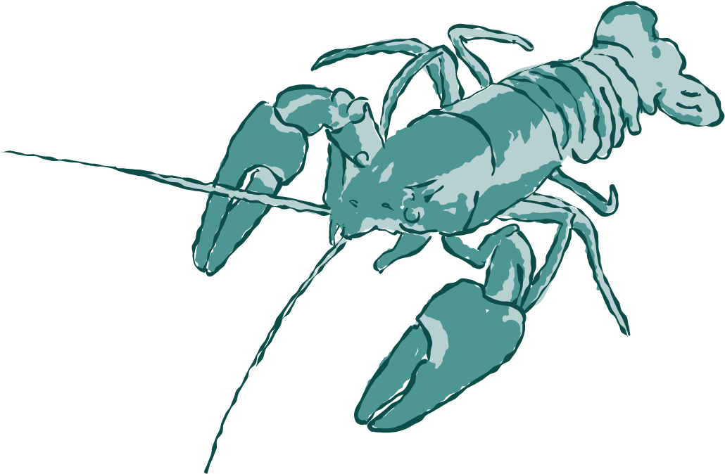 Crayfish Illustration Artwork PNG