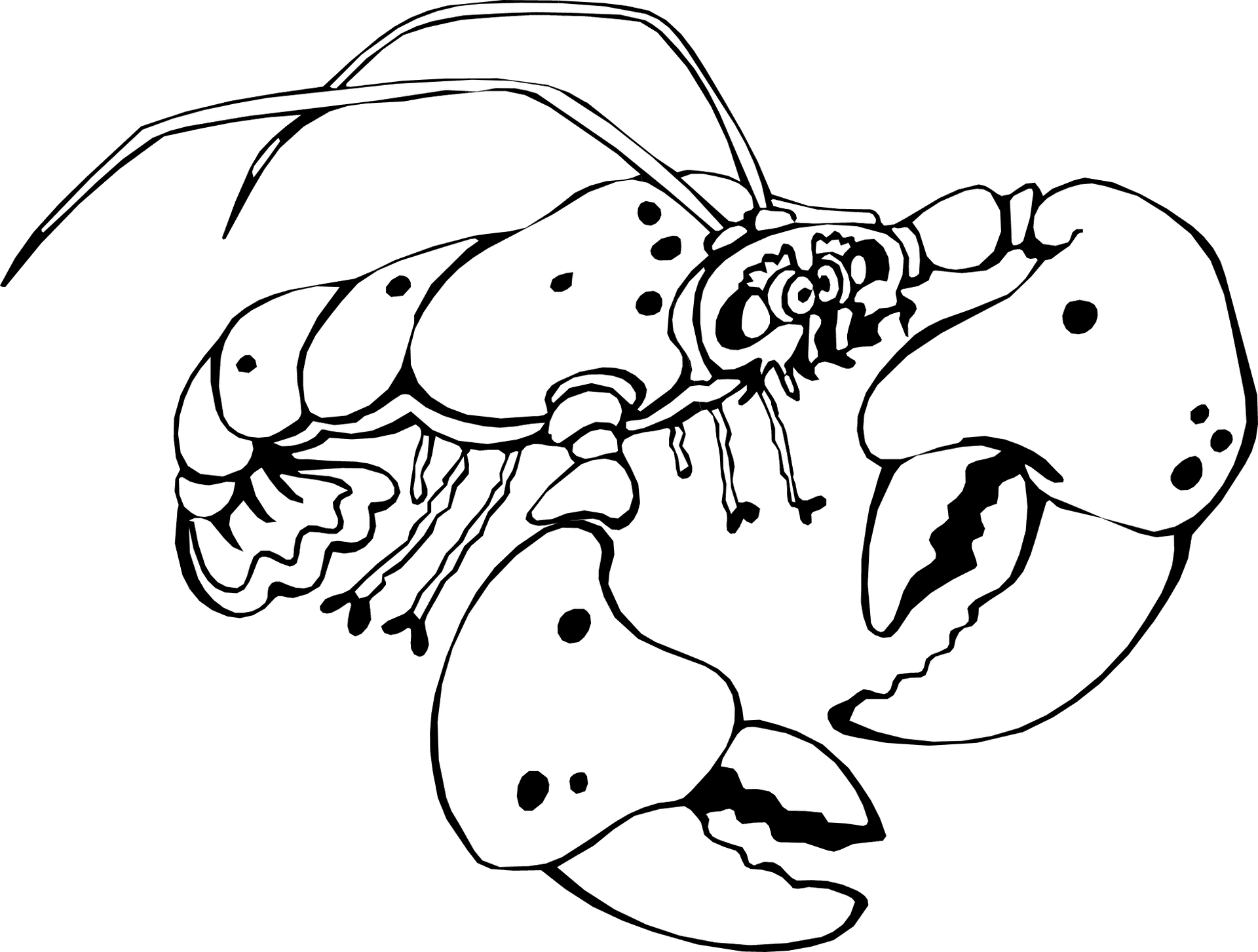 Crayfish Illustration Graphic PNG