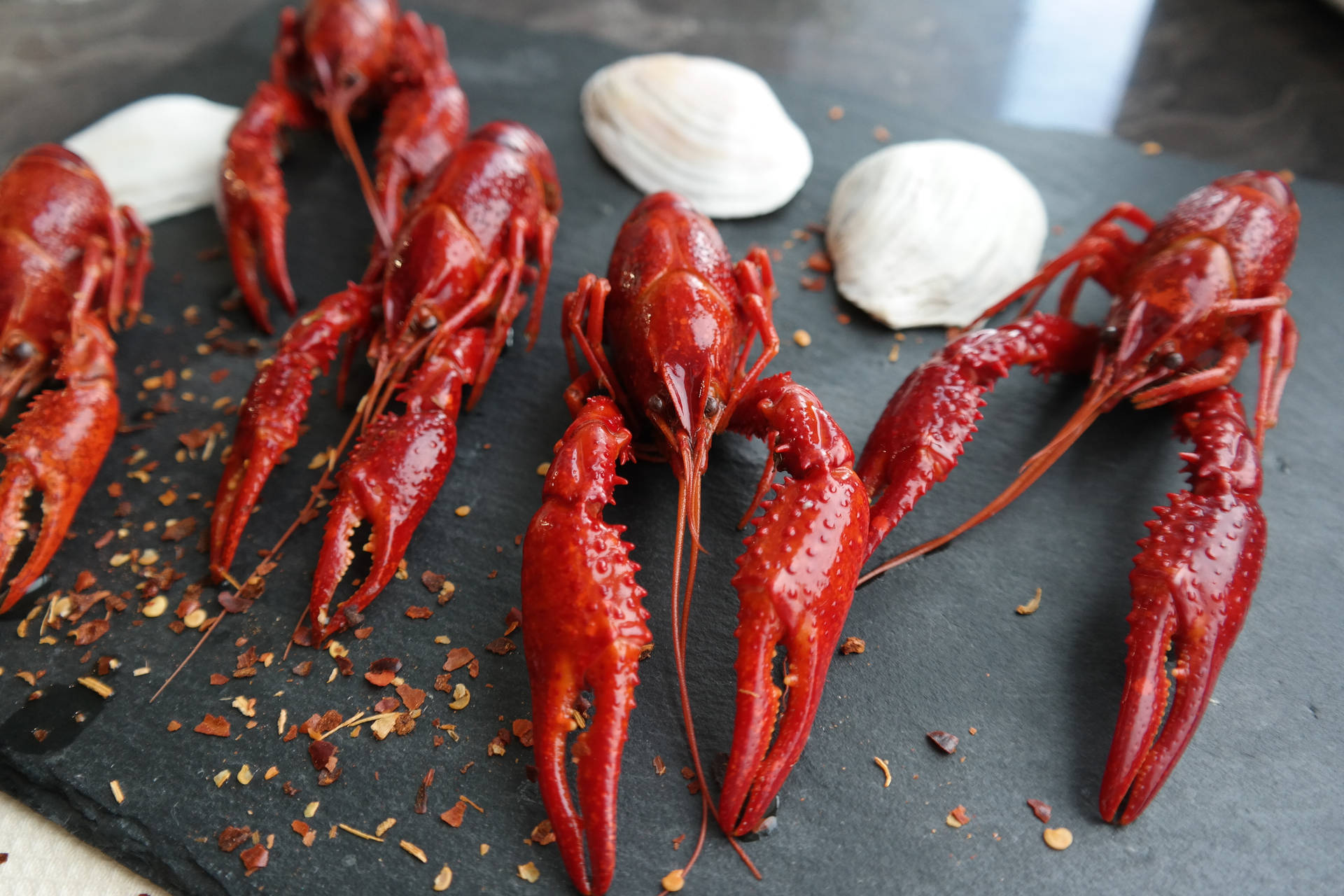 Crayfish Seafood With Seashells Wallpaper