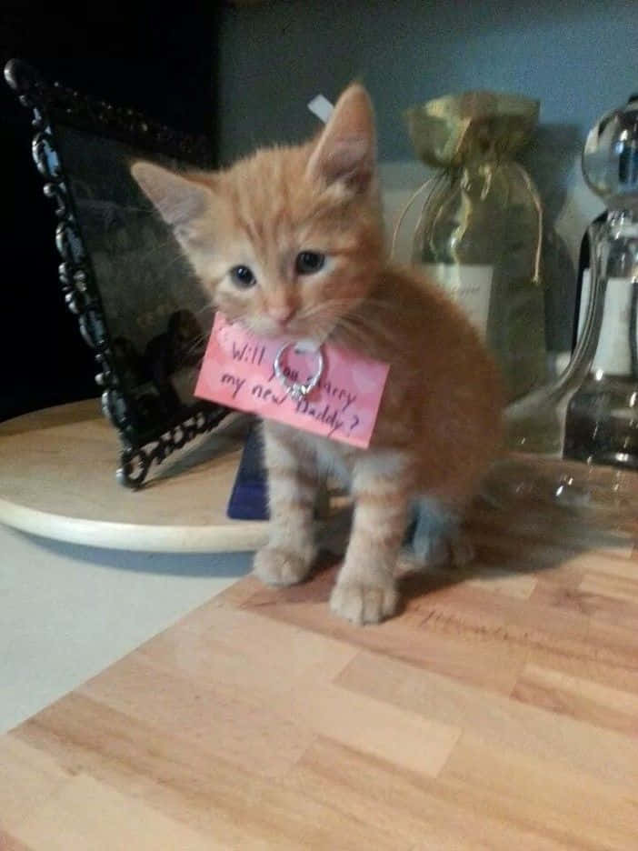 A Kitten Holding A Valentine's Day Card On A Cutting Board